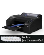 Imprimante Epson SureColor SC-P5300 - 17''