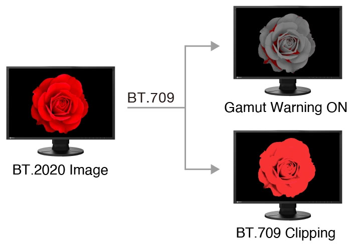 Ecran Eizo CG2400S - BT709