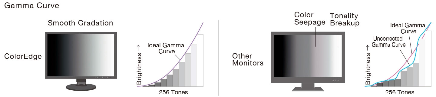 Ecran Eizo CG2400S - Gamma